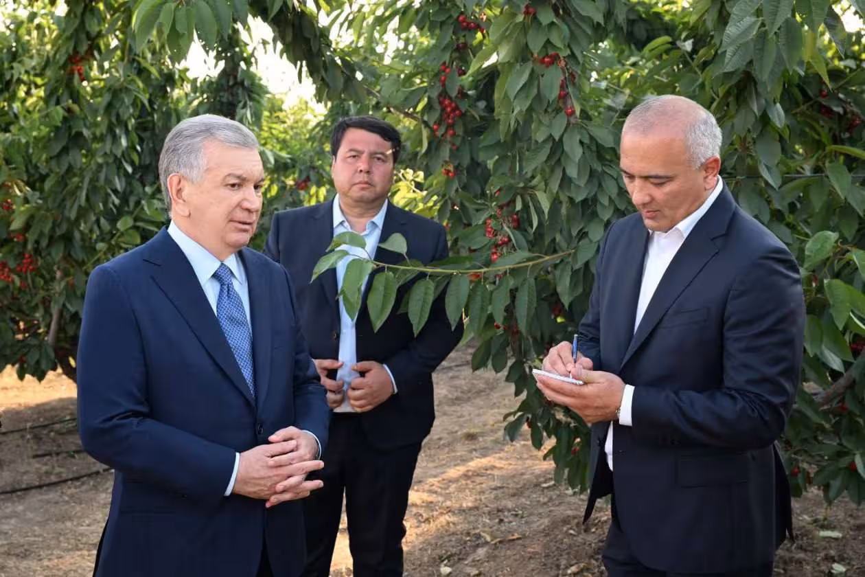 Foto: Prezident matbuot xizmati